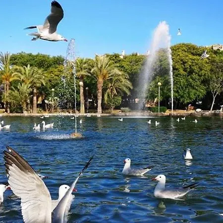 Experience Plaza Iglesia * Torrevieja